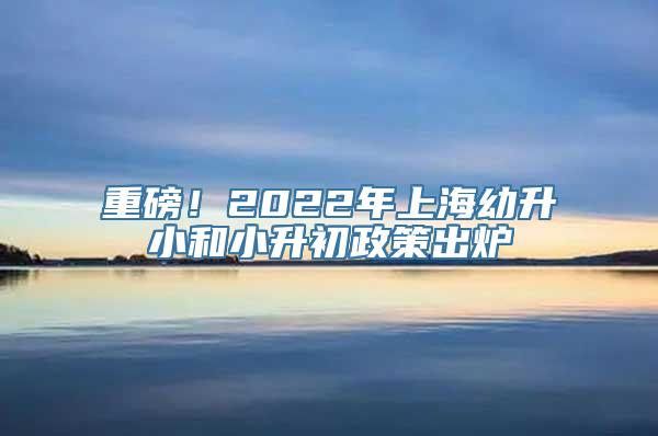 重磅！2022年上海幼升小和小升初政策出炉