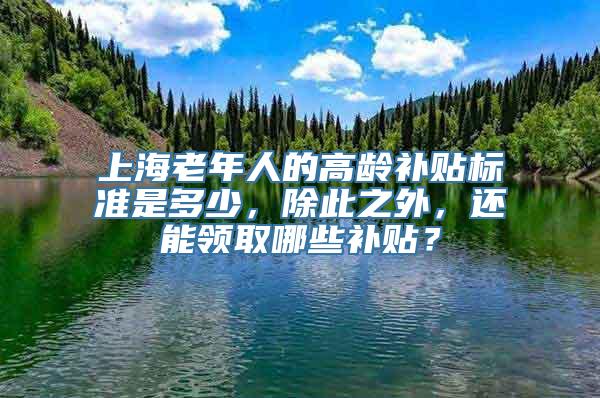 上海老年人的高龄补贴标准是多少，除此之外，还能领取哪些补贴？