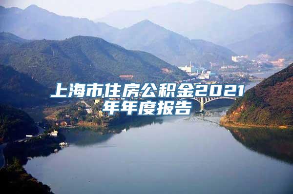 上海市住房公积金2021年年度报告