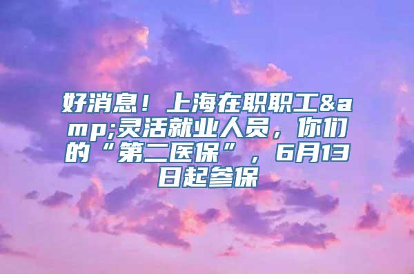 好消息！上海在职职工&灵活就业人员，你们的“第二医保”，6月13日起参保