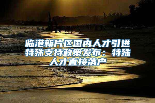 临港新片区国内人才引进特殊支持政策发布：特殊人才直接落户