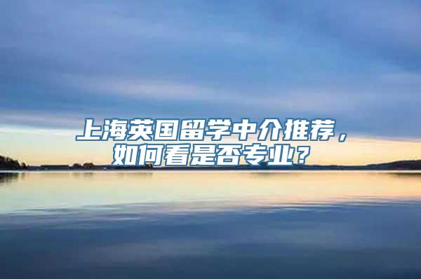 上海英国留学中介推荐，如何看是否专业？