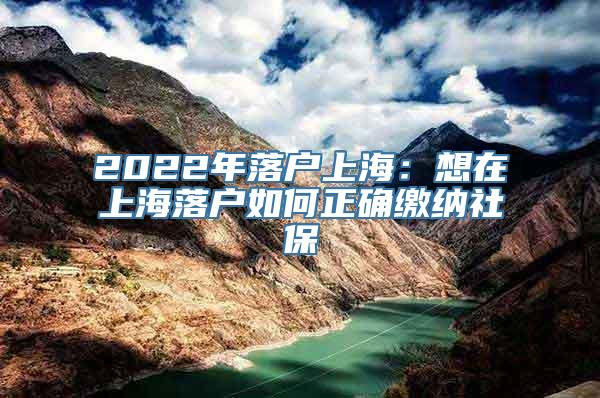 2022年落户上海：想在上海落户如何正确缴纳社保