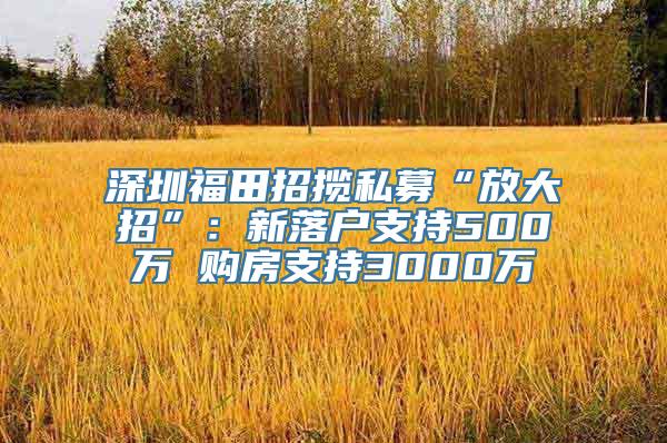 深圳福田招揽私募“放大招”：新落户支持500万 购房支持3000万