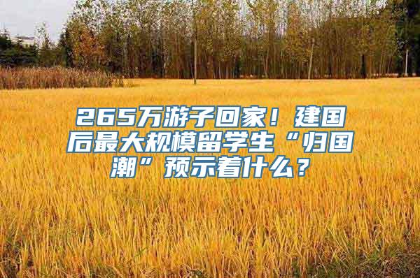 265万游子回家！建国后最大规模留学生“归国潮”预示着什么？