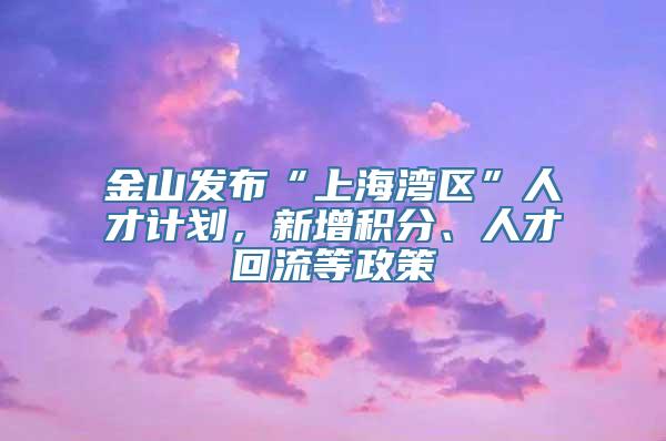 金山发布“上海湾区”人才计划，新增积分、人才回流等政策