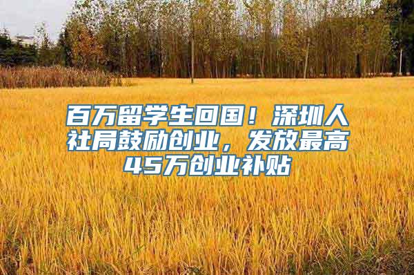 百万留学生回国！深圳人社局鼓励创业，发放最高45万创业补贴