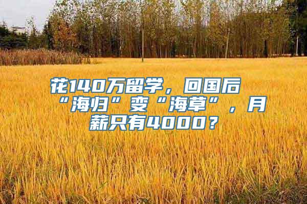 花140万留学，回国后“海归”变“海草”，月薪只有4000？