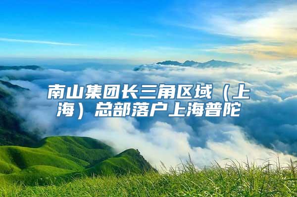 南山集团长三角区域（上海）总部落户上海普陀