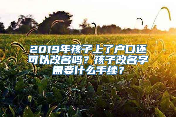 2019年孩子上了户口还可以改名吗？孩子改名字需要什么手续？