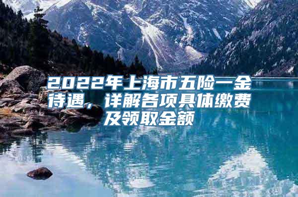 2022年上海市五险一金待遇，详解各项具体缴费及领取金额