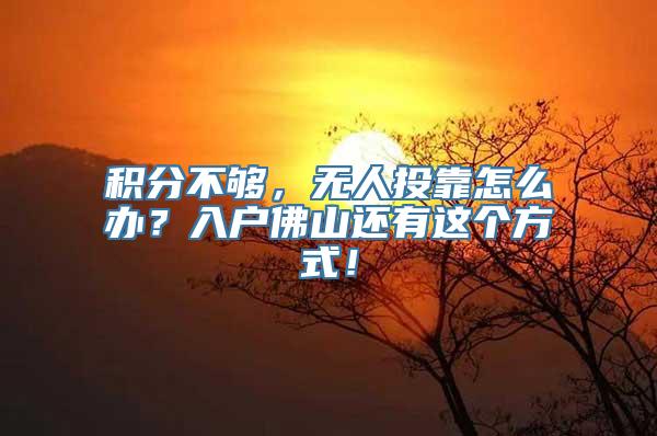 积分不够，无人投靠怎么办？入户佛山还有这个方式！