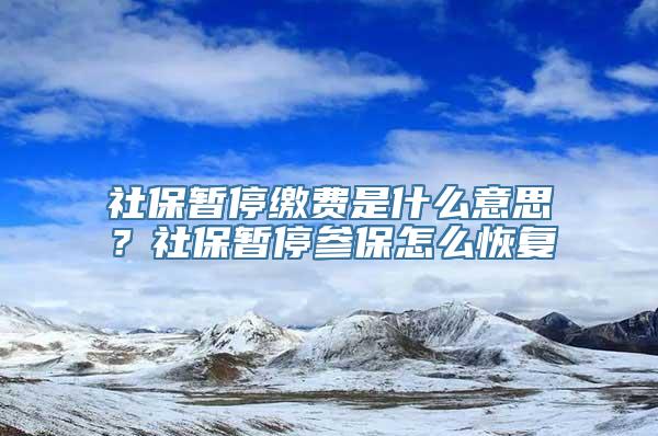 社保暂停缴费是什么意思？社保暂停参保怎么恢复