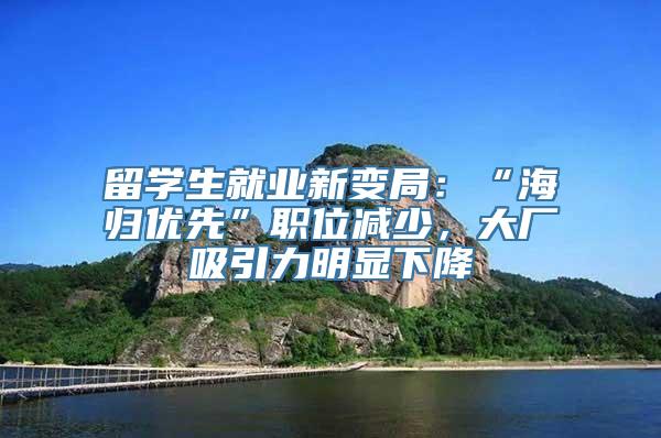 留学生就业新变局：“海归优先”职位减少，大厂吸引力明显下降