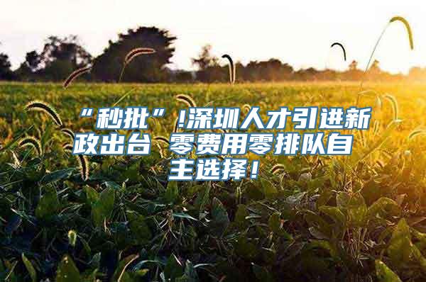 “秒批”!深圳人才引进新政出台 零费用零排队自主选择！