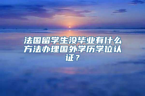 法国留学生没毕业有什么方法办理国外学历学位认证？