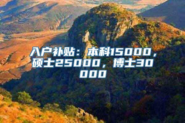 入户补贴：本科15000，硕士25000，博士30000