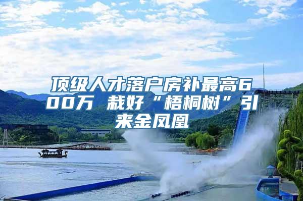 顶级人才落户房补最高600万 栽好“梧桐树”引来金凤凰