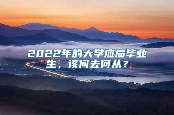 2022年的大学应届毕业生，该何去何从？