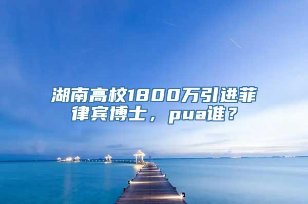 湖南高校1800万引进菲律宾博士，pua谁？