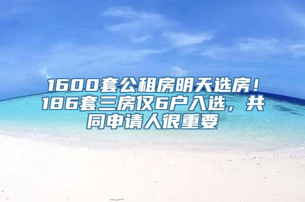 1600套公租房明天选房！186套三房仅6户入选，共同申请人很重要