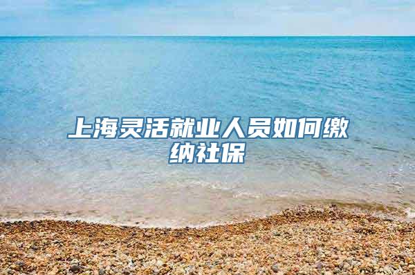 上海灵活就业人员如何缴纳社保