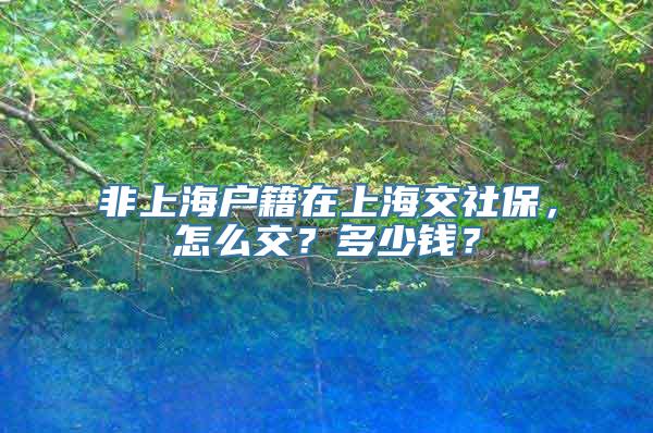 非上海户籍在上海交社保，怎么交？多少钱？