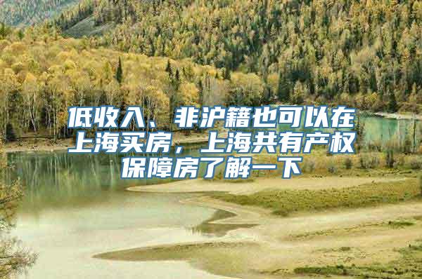 低收入、非沪籍也可以在上海买房，上海共有产权保障房了解一下