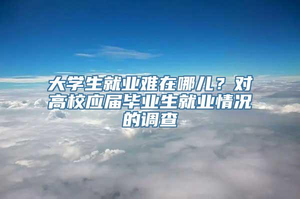 大学生就业难在哪儿？对高校应届毕业生就业情况的调查