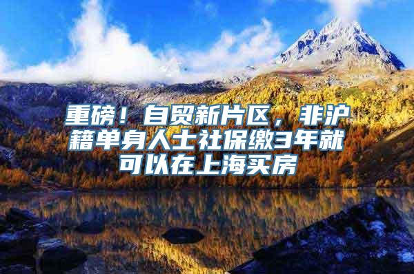 重磅！自贸新片区，非沪籍单身人士社保缴3年就可以在上海买房