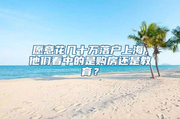 愿意花几十万落户上海，他们看中的是购房还是教育？