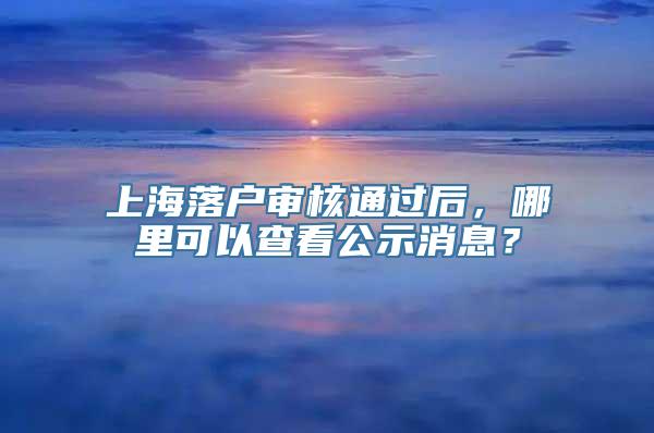 上海落户审核通过后，哪里可以查看公示消息？