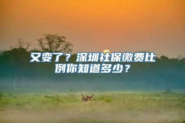 又变了？深圳社保缴费比例你知道多少？