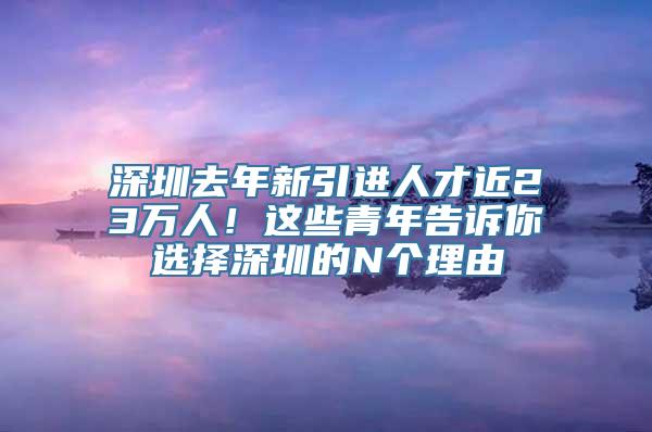 深圳去年新引进人才近23万人！这些青年告诉你选择深圳的N个理由