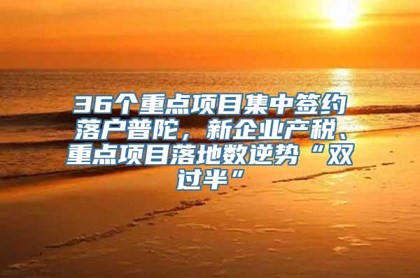 36个重点项目集中签约落户普陀，新企业产税、重点项目落地数逆势“双过半”