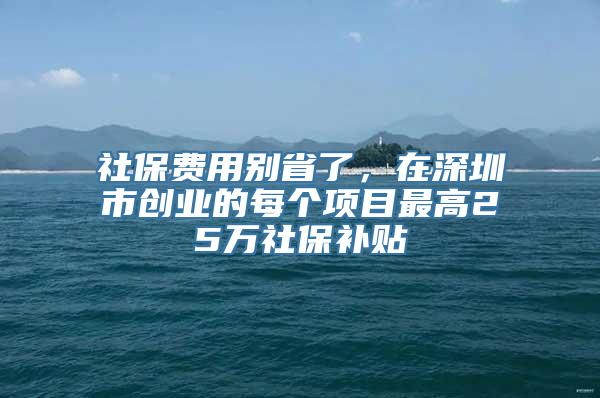 社保费用别省了，在深圳市创业的每个项目最高25万社保补贴