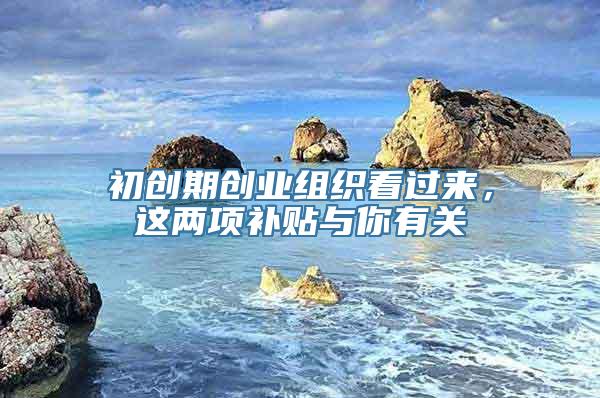 初创期创业组织看过来，这两项补贴与你有关