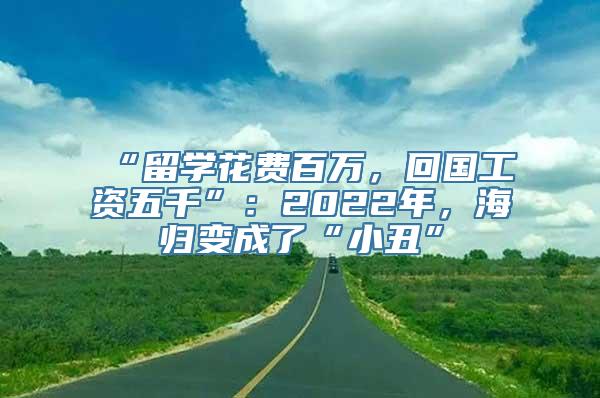 “留学花费百万，回国工资五千”：2022年，海归变成了“小丑”