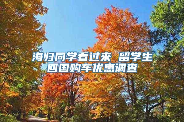 海归同学看过来 留学生回国购车优惠调查