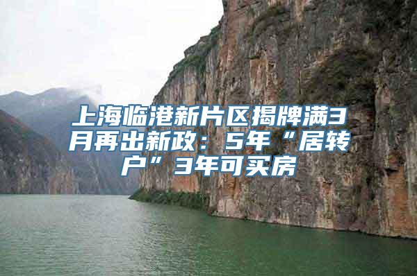 上海临港新片区揭牌满3月再出新政：5年“居转户”3年可买房