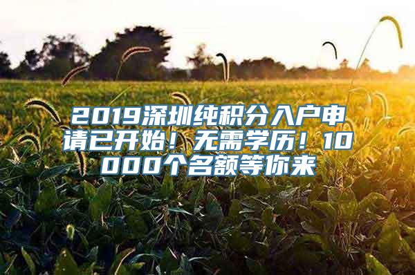 2019深圳纯积分入户申请已开始！无需学历！10000个名额等你来