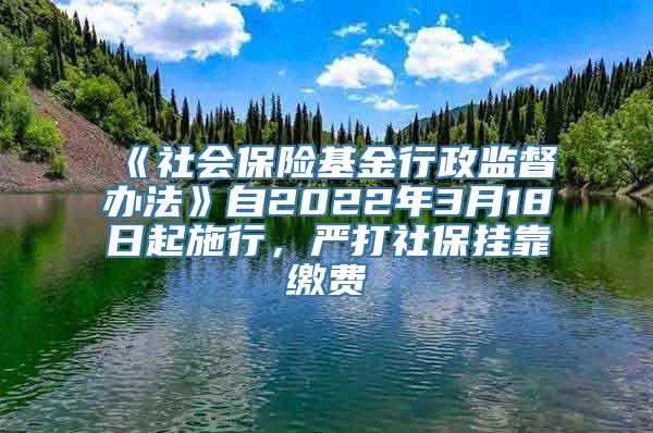 《社会保险基金行政监督办法》自2022年3月18日起施行，严打社保挂靠缴费