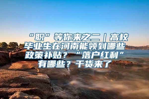 “职”等你来之二｜高校毕业生在河南能领到哪些政策补贴？“落户红利”有哪些？干货来了