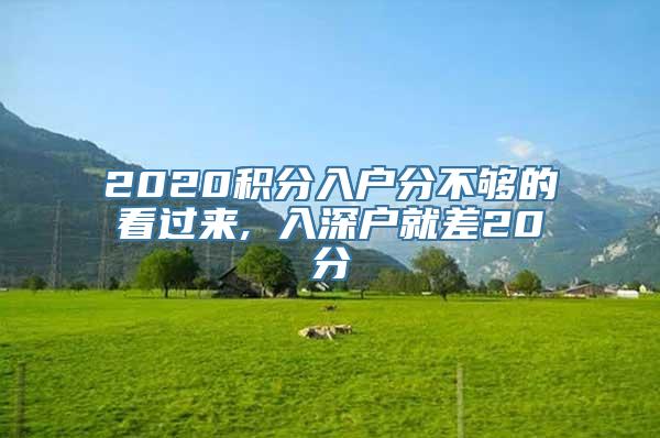 2020积分入户分不够的看过来, 入深户就差20分