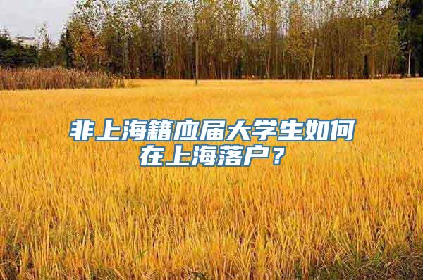 非上海籍应届大学生如何在上海落户？