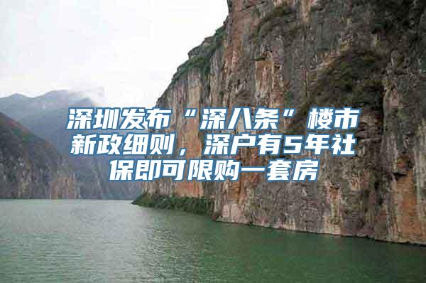 深圳发布“深八条”楼市新政细则，深户有5年社保即可限购一套房