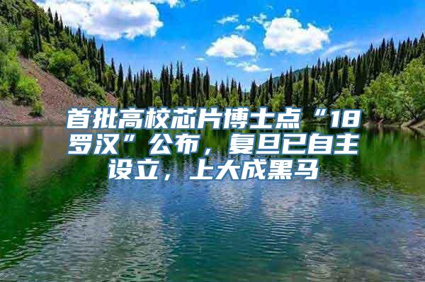 首批高校芯片博士点“18罗汉”公布，复旦已自主设立，上大成黑马