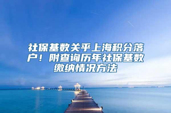 社保基数关乎上海积分落户！附查询历年社保基数缴纳情况方法