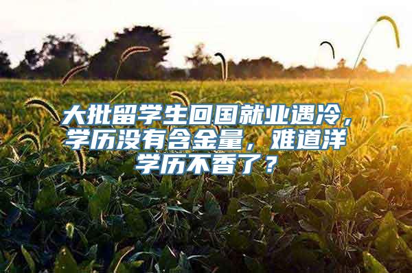 大批留学生回国就业遇冷，学历没有含金量，难道洋学历不香了？