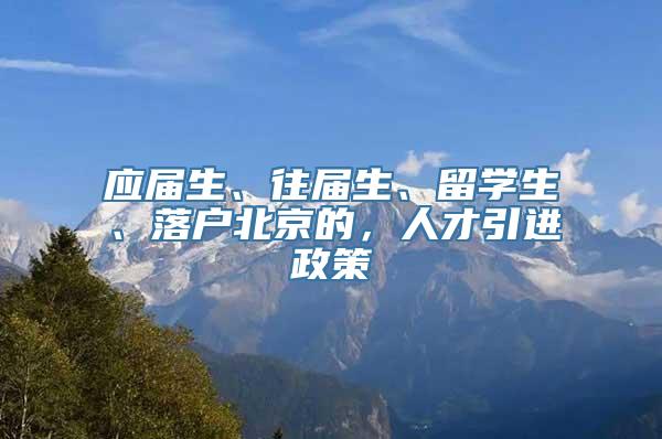 应届生、往届生、留学生、落户北京的，人才引进政策